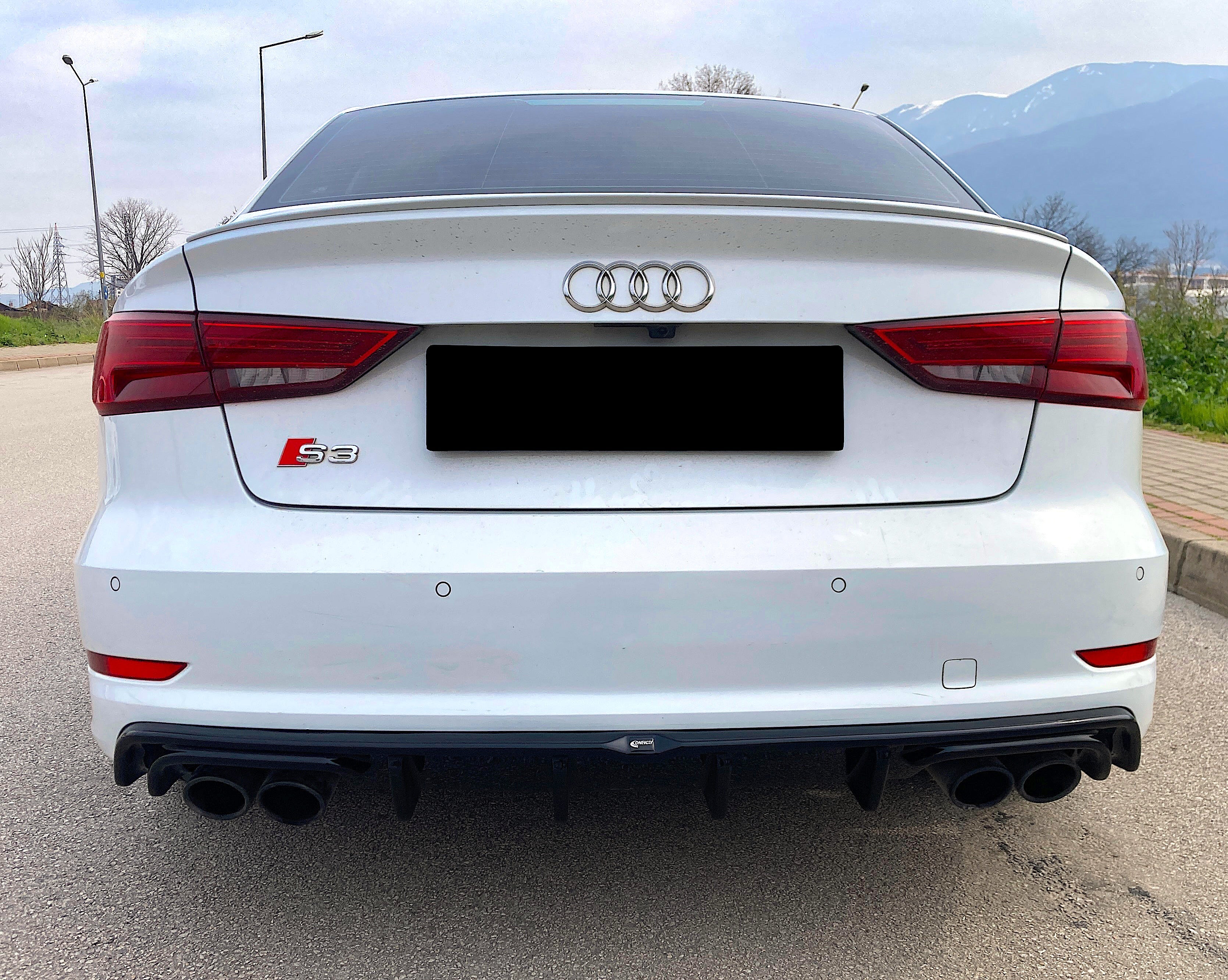 AUDI S3 Sedan 8V 2013-2016 Rear Valance Diffuser - ONEWAY Automotive GmbH